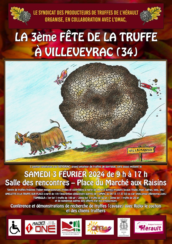 TRUFFE VILLEVEYRAC.jpg (317 KB)