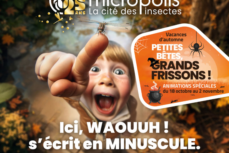 ST LEONS: MICROPOLIS en mode Frissons