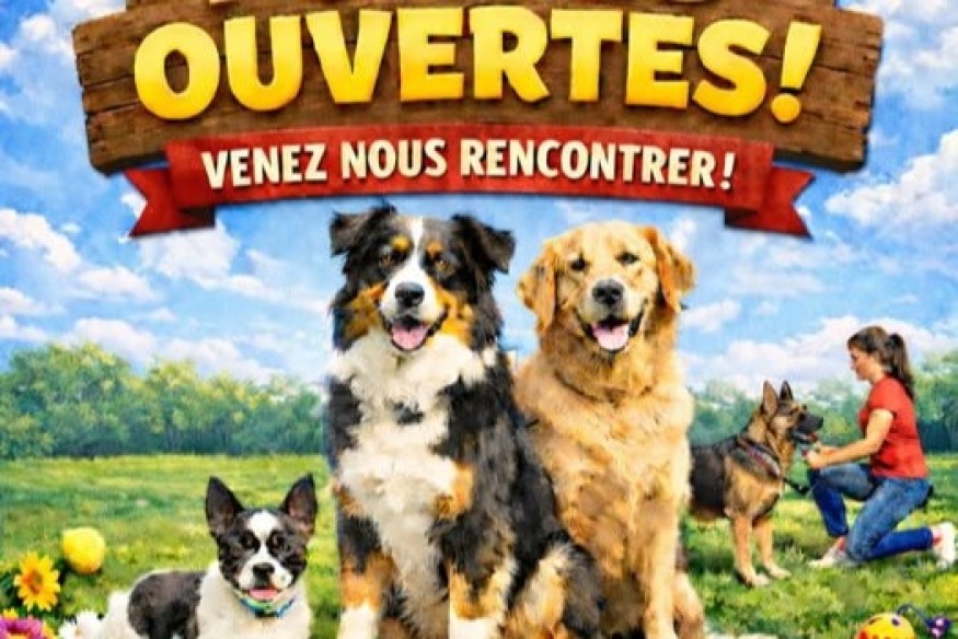 LA GRANDE MOTTE Nouveau : Association canine Grand Mottoise